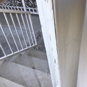 Meet your Posher, Benjamin